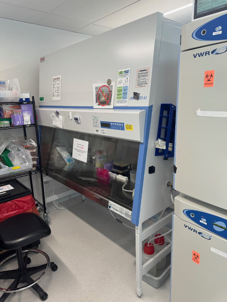 Image of Thermo 1300 Series A2 6' Biosafety Cabinet